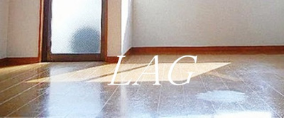 【居間・リビング】 | メゾンマルタ氷川台 | 洋室のお部屋です。