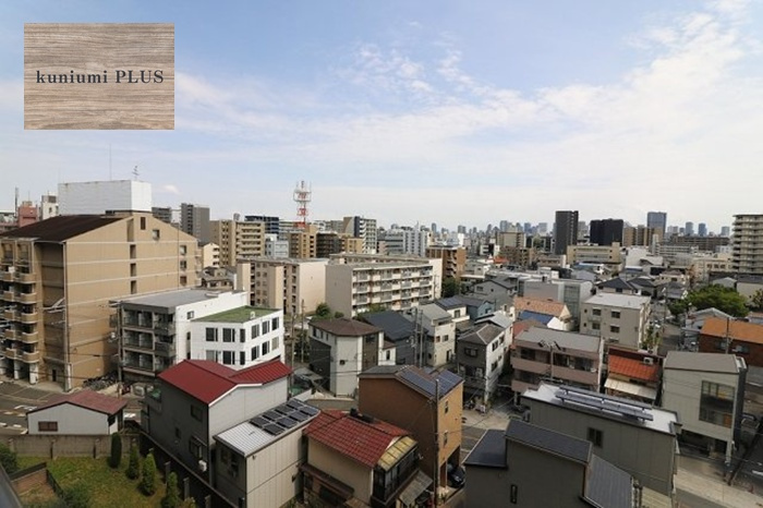 キングスクエア北大阪パークフェリスⅠ番館の展望