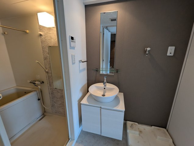 S-RESIDENCE新大阪駅前の独立洗面台