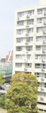 亀戸二丁目団地９号棟の画像