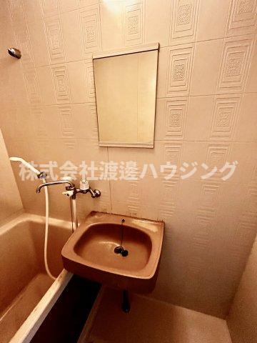 ユーミーハイツ大成の洗面所