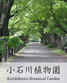 ガラ・ステージ茗荷谷
