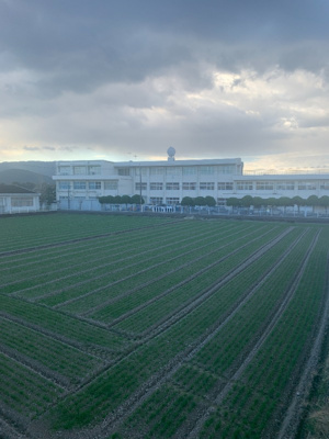 【展望】 | ルネス吉岡14号地
