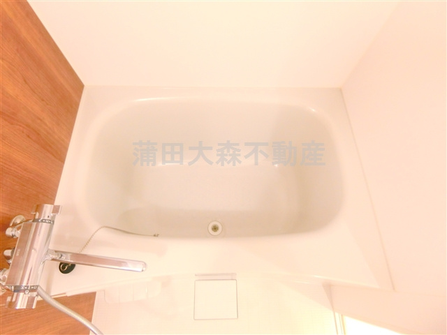 クレヴィスタ蒲田Ⅱの浴室