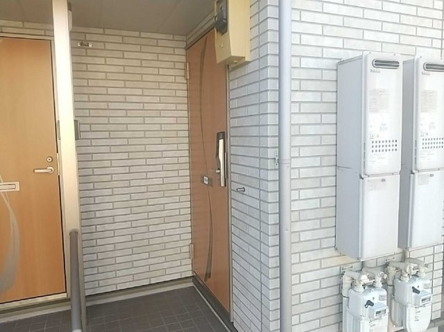 ミランダファルコナーⅠのその他