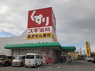 【周辺】 | Ｋストリート | スギ薬局彦根西今店様まで810m