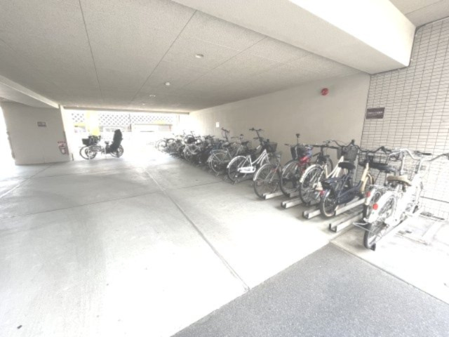 ルーセント菅原