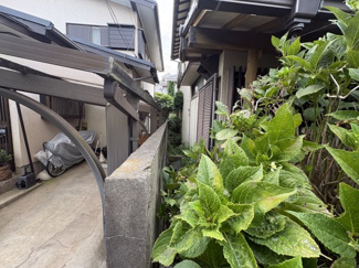 【周辺】 | 船橋市松が丘4丁目　売地