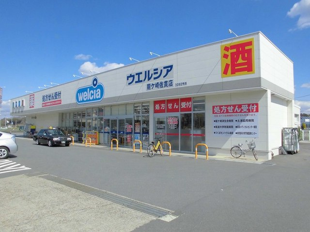 ハナミズキの周辺|その他
