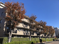 新本牧壱番館の画像