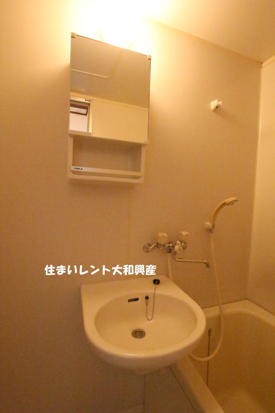 サニーハウスⅢの洗面所