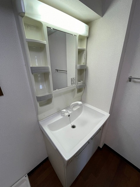 翔阿園マンションの洗面所