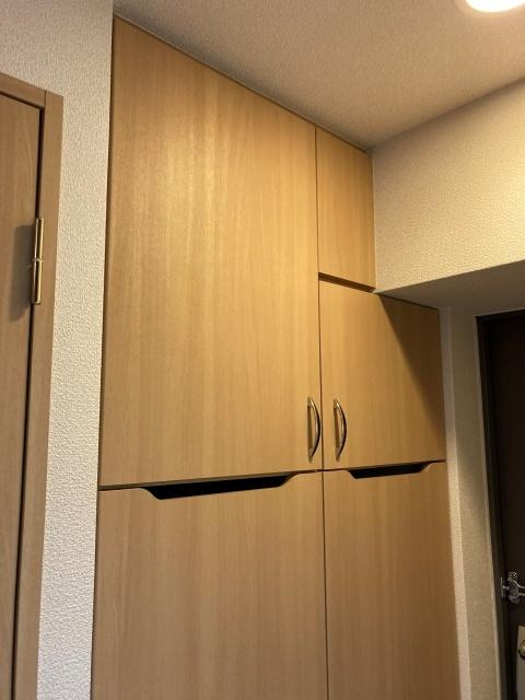 ルーブル武蔵小杉の収納