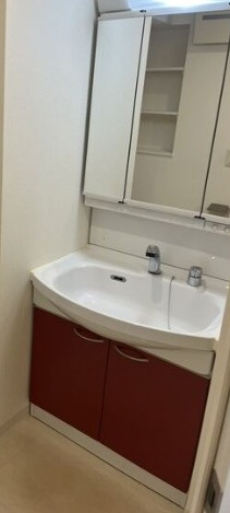 エステムコート難波Ⅲラグースの洗面所