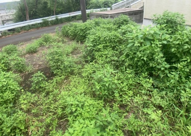 【外観】 | 家を建てる場合、方位は要チェックです。現実的に日当たりのよい家ならばリビングは南側、建築基準法でも北側に当たる家への配慮は求められています。土地を見学に行く際は、方位磁針を持って行くようにしましょう。