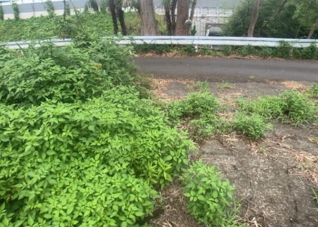 【外観】 | 土地を買う際、住む地域の自治体や福祉の補助制度にも注目してみましょう。子供や老人の医療補助やゴミ出しのルールなど、自治体によってルールに大きな違いがあるため、暮らしやすい土地で判断するとよいでしょう。