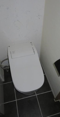 レピュア南千住レジデンスⅡのトイレ