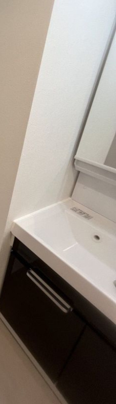 ティモーネグランデ押上イーストの洗面所