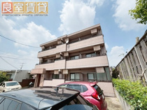 e casa miaの画像