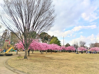 井沼方公園まで40ｍ