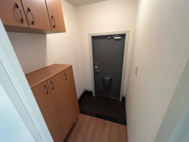 ハルディン　アレグレの玄関|玄関