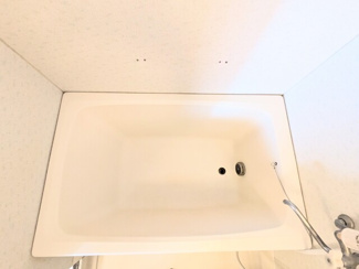 バス