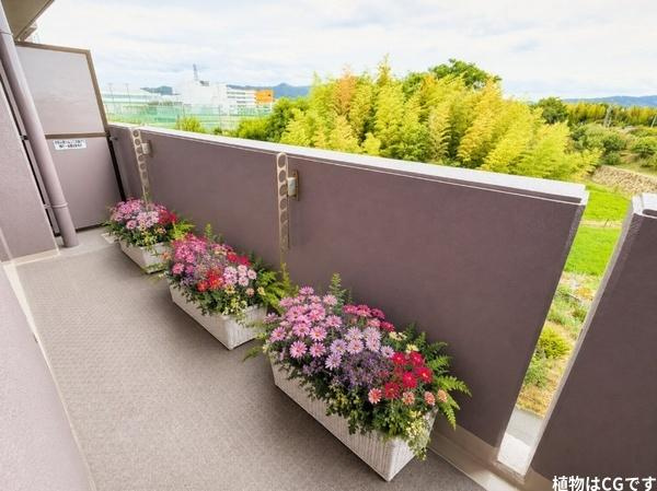 東急ドエル・アルス枚方桜が丘Ａ棟　中古 マンションのバルコニー
