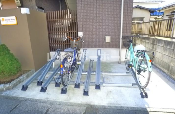オレンジベリーのその他