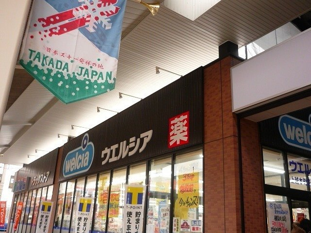 プレジールの周辺|ウェルシア上越本町店まで900m