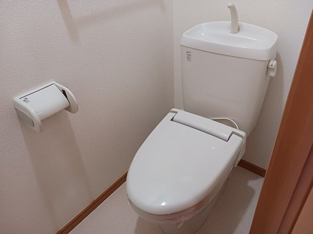 レジデンス・フジのトイレ