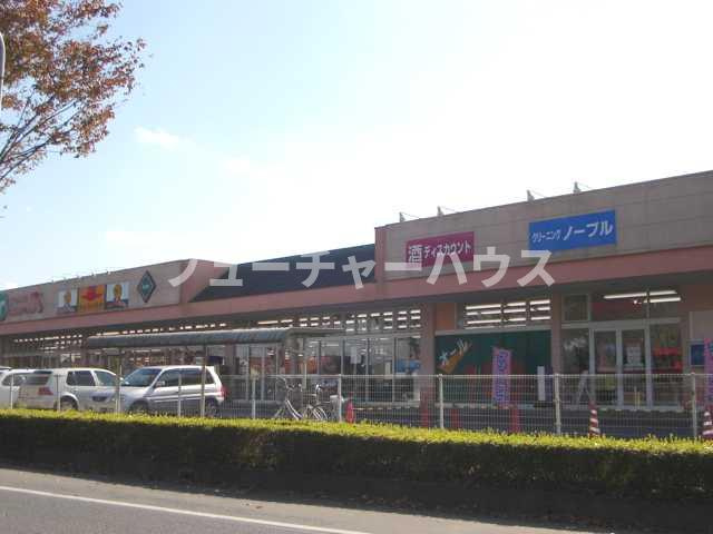 DandelionⅢ（ダンデリオンスリー）の周辺|エコス美野里店まで1,808ｍ