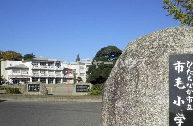 プリムヴェールの周辺|市立市毛小学校まで760m