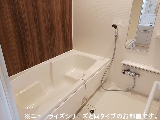 ニューライズＯＴＳＵＮＡ　Ｂの浴室