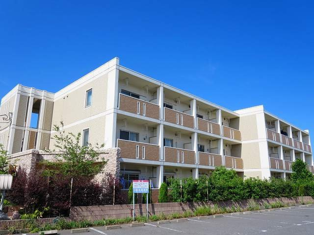 クリプトメリアの外観