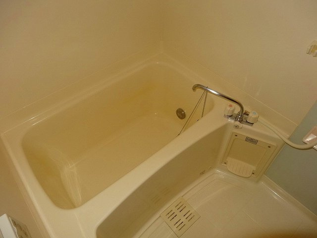 クリプトメリアの浴室
