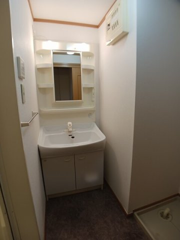 シャンロジュマンの洗面所