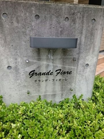 グランデ・フィオーレのその他