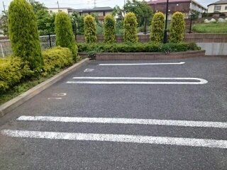 クリプトメリアの駐車場