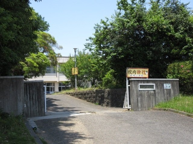 パーチェプレイスＢの周辺|有明小学校まで1100m