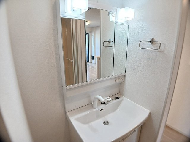 メゾン　ド　グレイスＡの洗面所