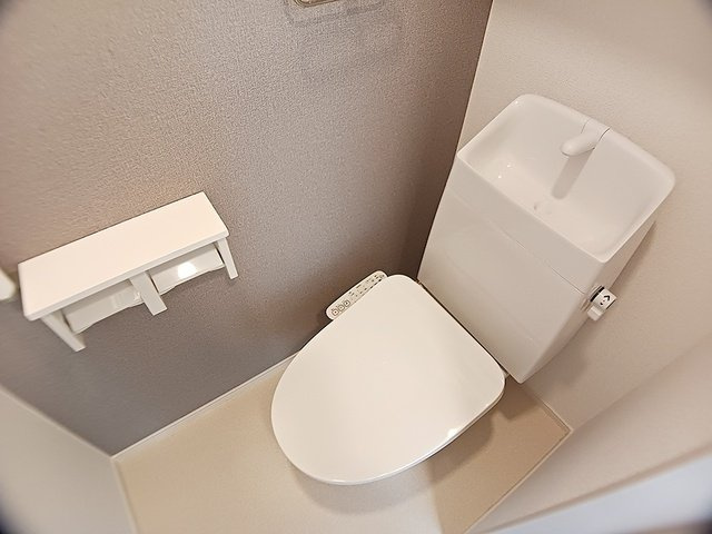 メゾン　ド　グレイスＡのトイレ