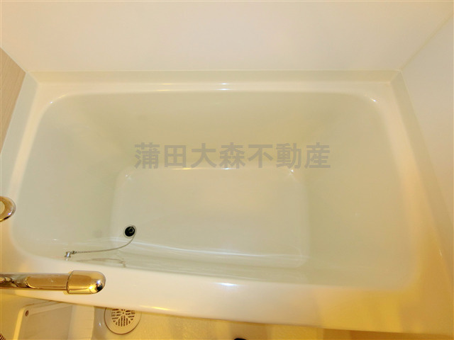 レジディア蒲田Ⅴの浴室