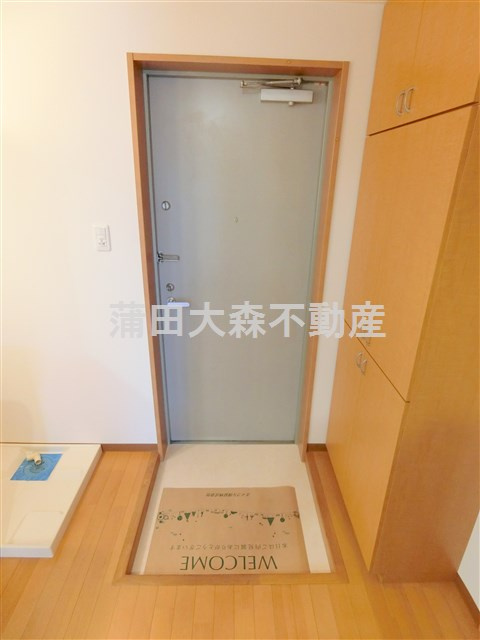 カーサベルデスⅡの玄関