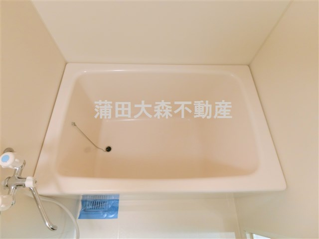 カーサベルデスⅡの浴室