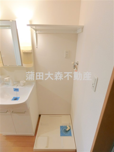 カーサベルデスⅡの洗面所