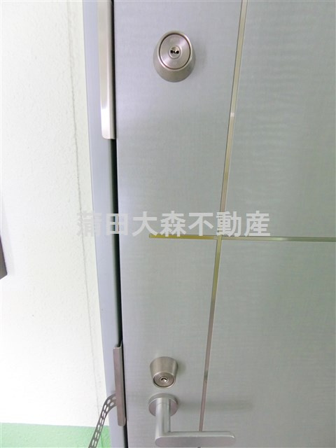 カーサベルデスⅡの玄関