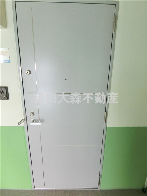 カーサベルデスⅡの玄関