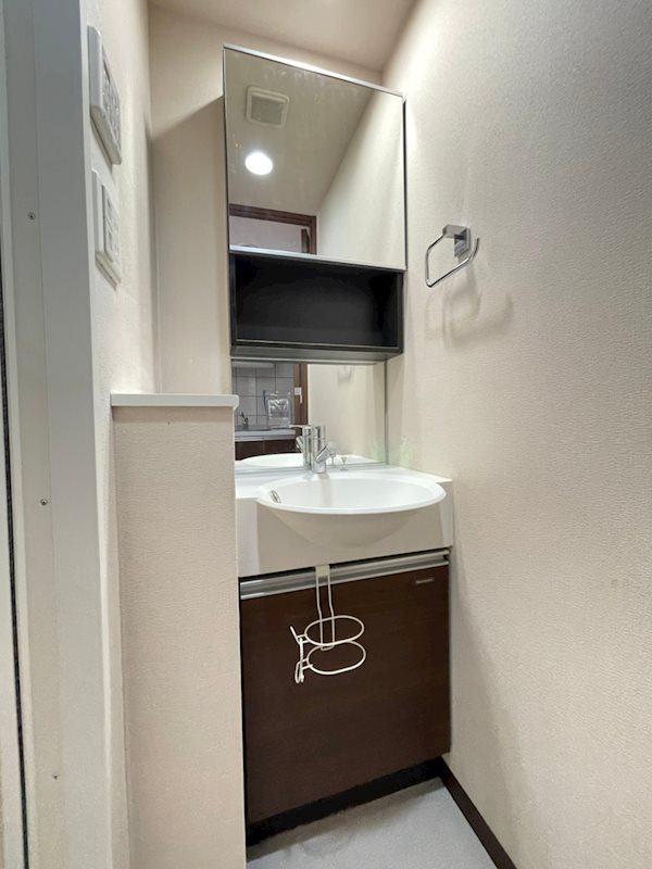 エスリード松屋町SOUTHの洗面所