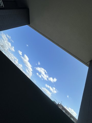 ネクスト吉塚の展望