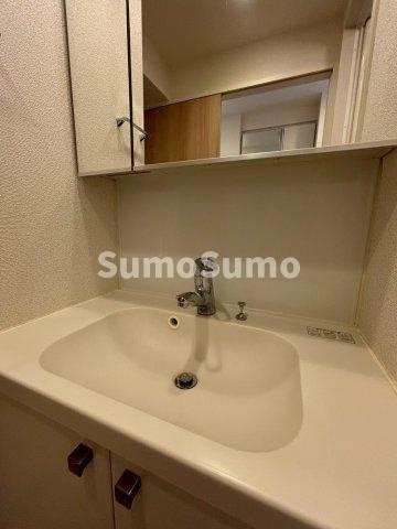 アーバネックス四ツ橋の洗面所